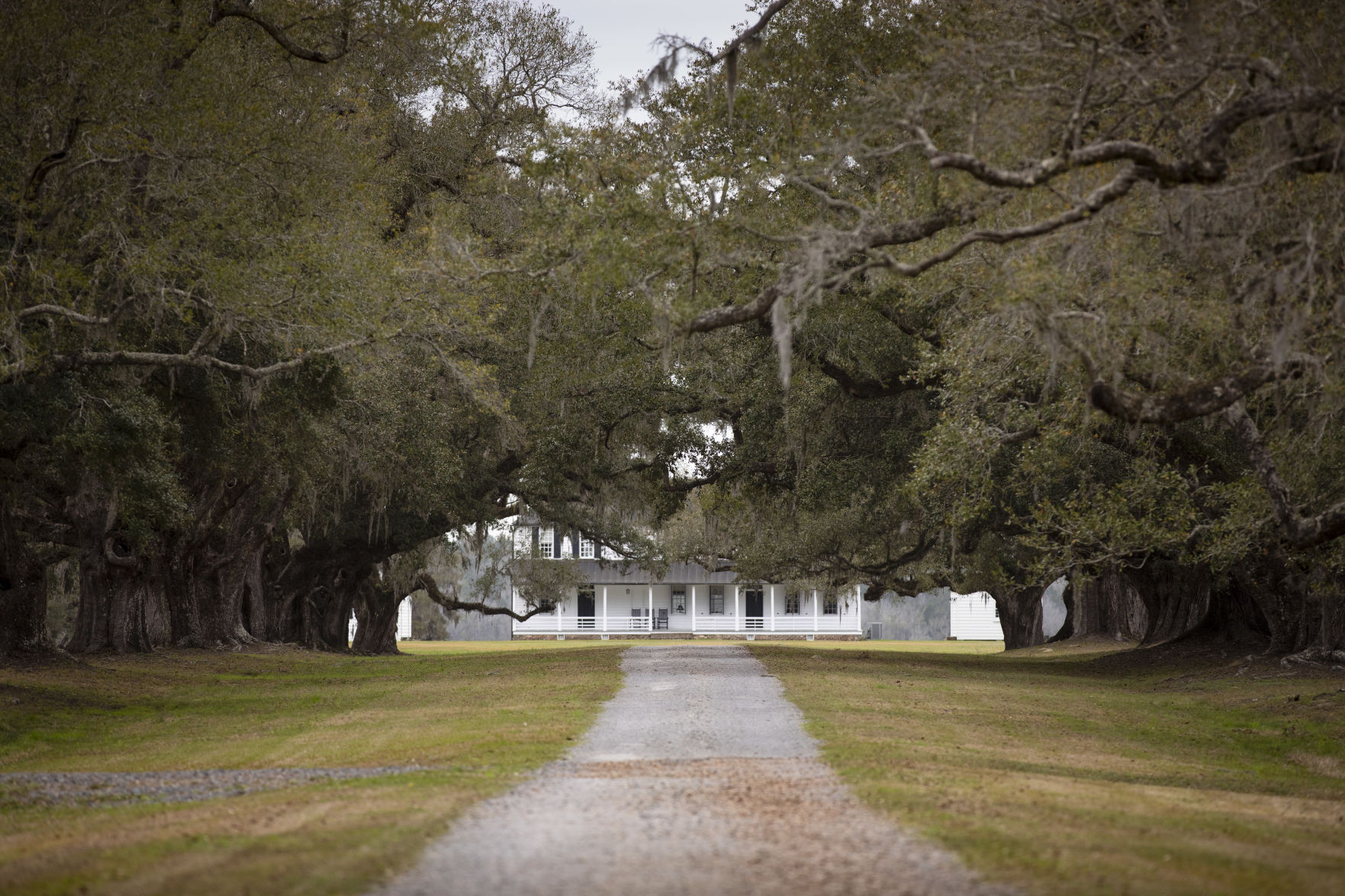 Middleberg Plantation.JPG